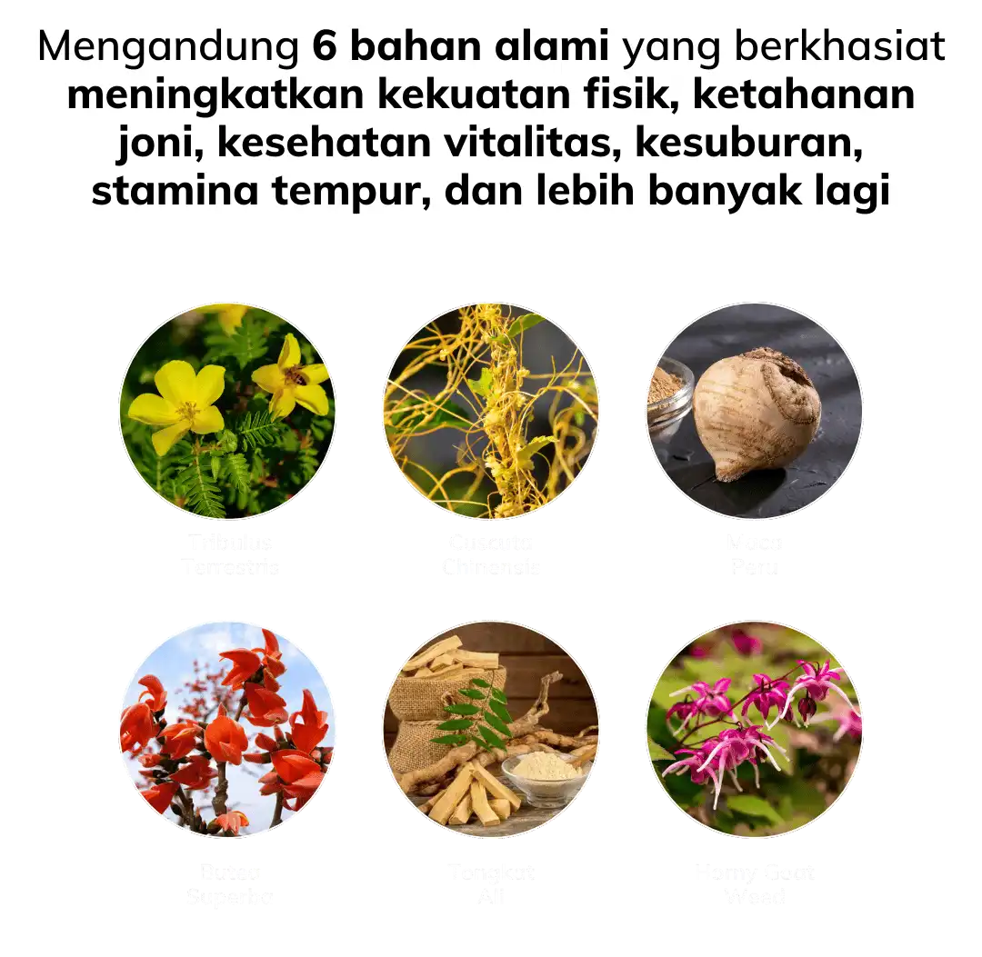 6 bahan alami